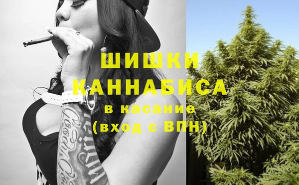 винт Абаза