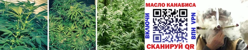 хочу наркоту Петров Вал Дистиллят ТГК THC oil